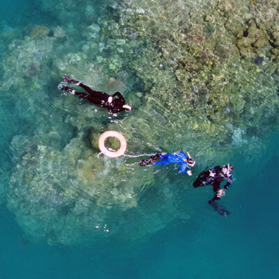 Snorkel Low Isles