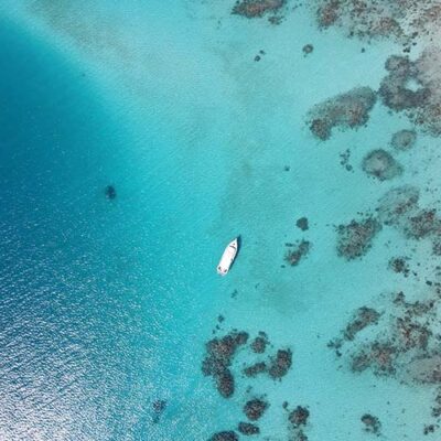The very best guided snorkelling on the GBR