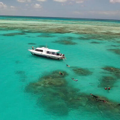 Best snorkel tours from Port Douglas