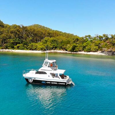 Support local business ABC Snorkel