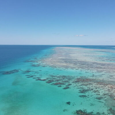 Port Douglas snorkel tour to Outer Reef