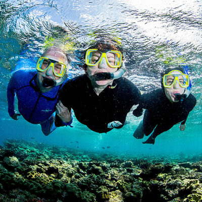 Snorkel Low Isles