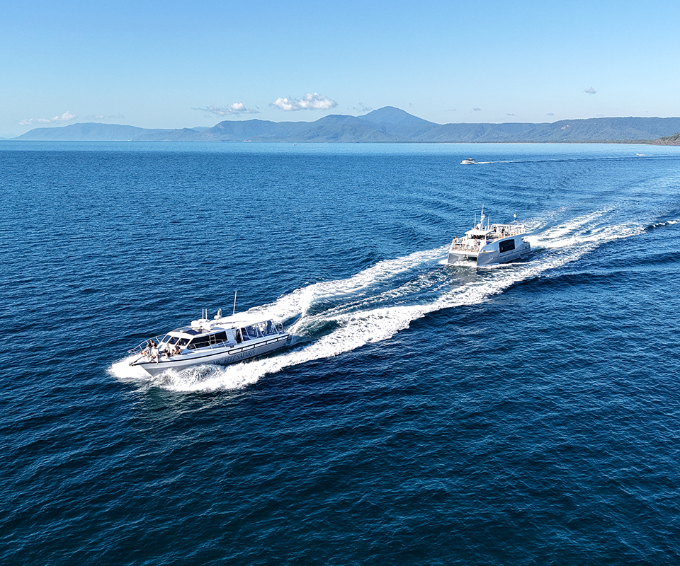 <b>You want your</b> Great Barrier Reef <b>scuba diving</b> experience to be <b>world class. </b>