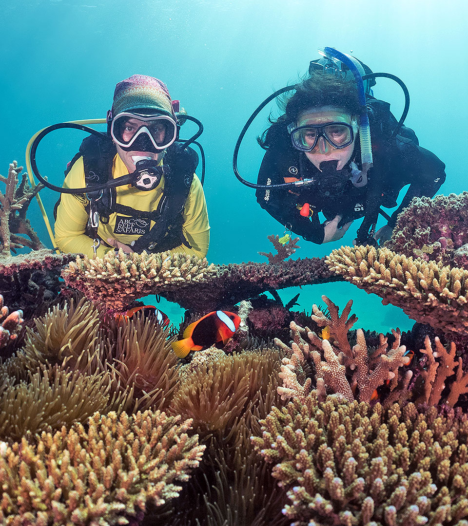 <b>Introductory scuba diving</b> with ABC Reef Safaris. <b>Port Douglas #1 reef tour. </b>