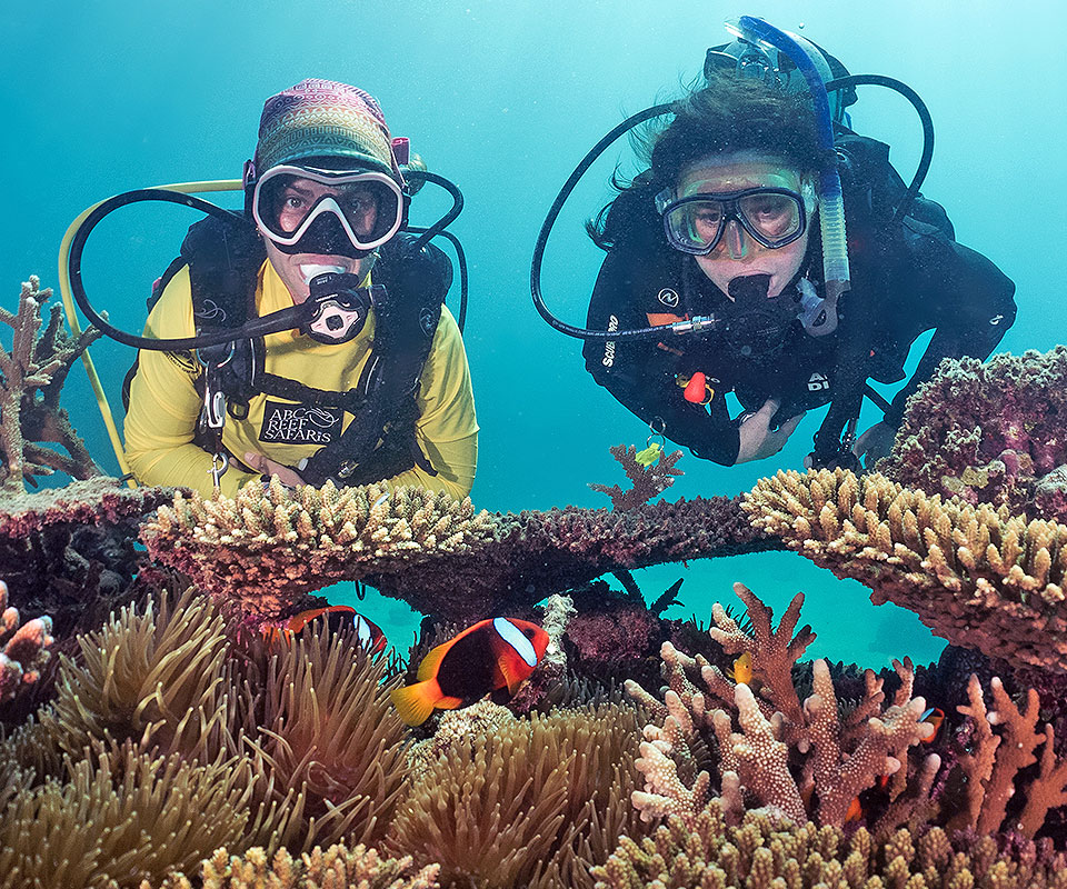 <b>Introductory scuba diving</b> with ABC Reef Safaris. <b>Port Douglas #1 reef tour. </b>