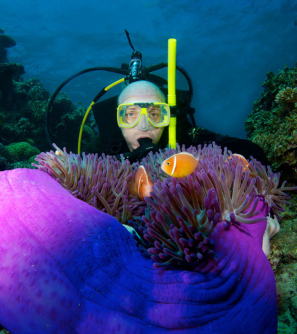 <b>The best</b> certified <b>scuba diving</b> on the <b>Great Barrier Reef. </b>