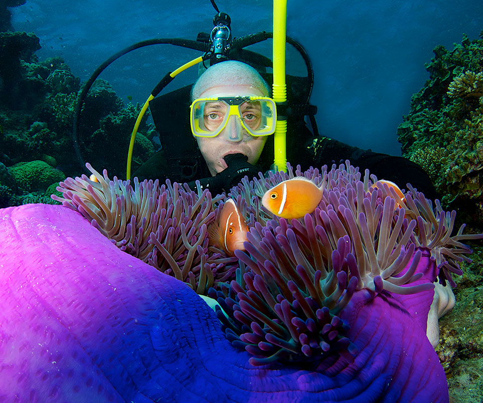 <b>The best</b> certified <b>scuba diving</b> on the <b>Great Barrier Reef. </b>