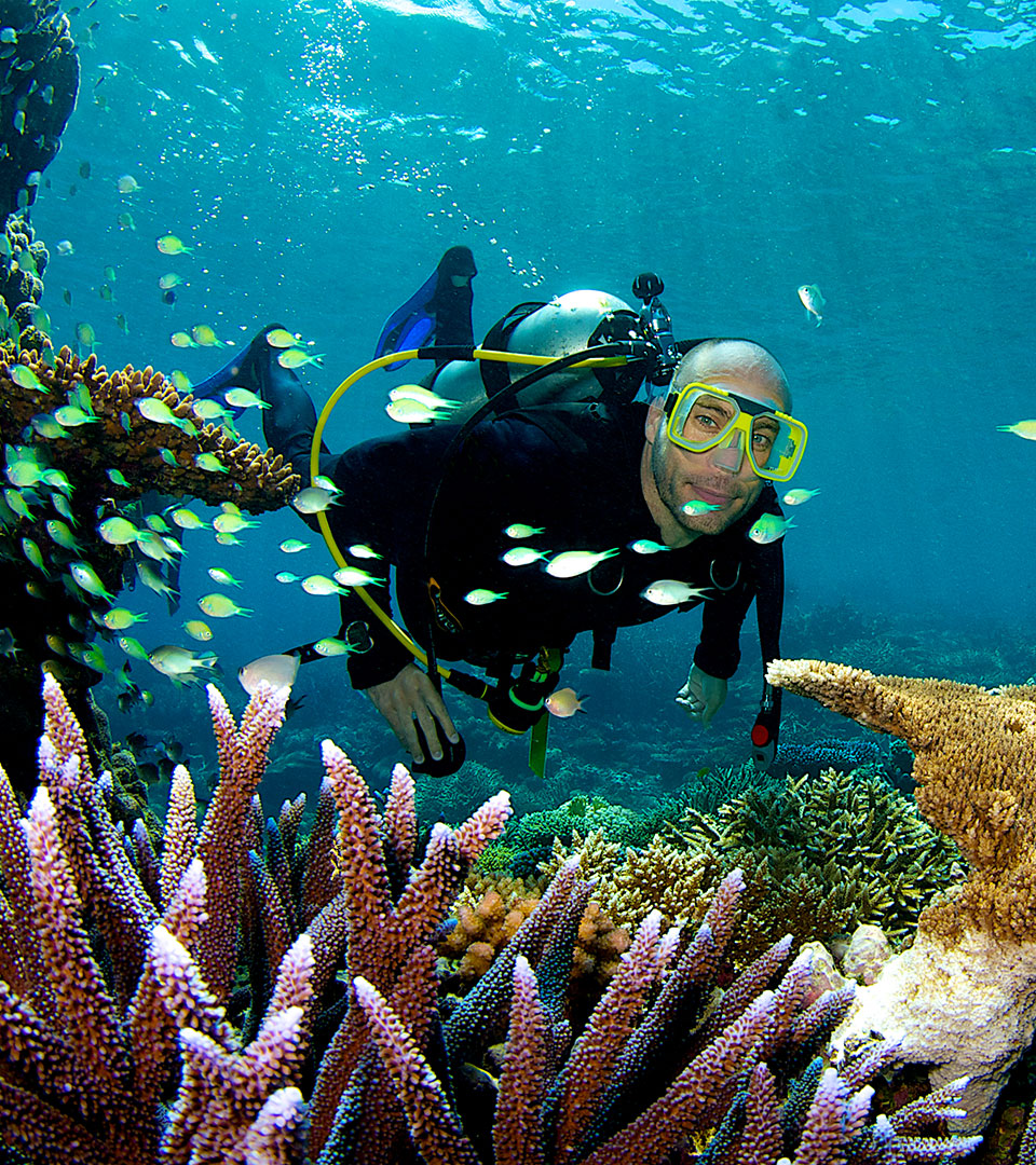 Experience the <b>ABC scuba diving difference, </b> on the <b>Great Barrier Reef. </b> 