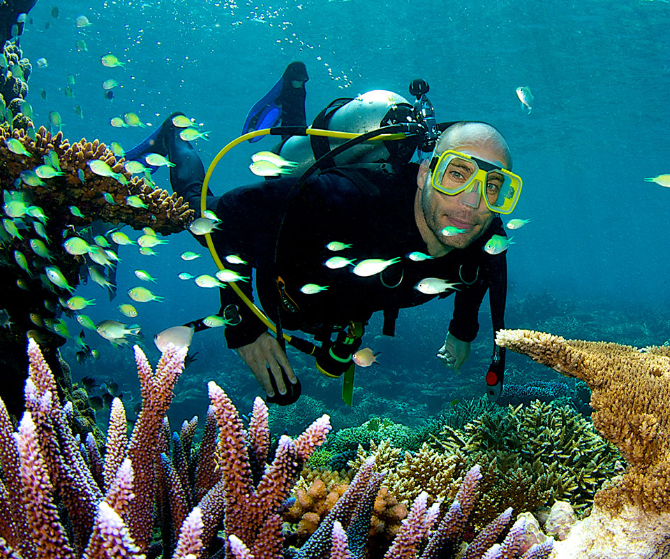 Experience the <b>ABC scuba diving difference, </b> on the <b>Great Barrier Reef. </b> 