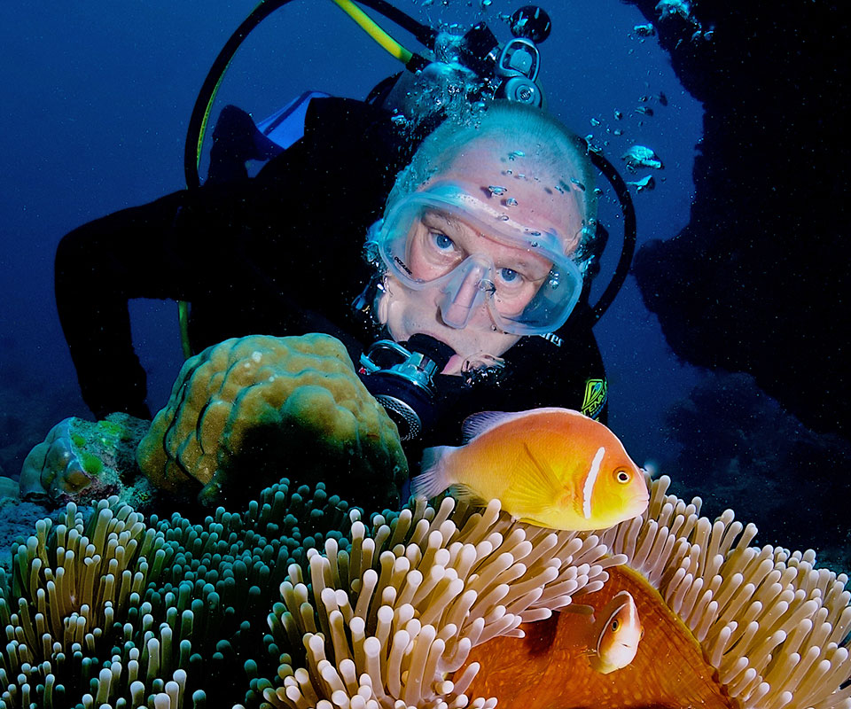 This is Port Douglas’ <b>best scuba diving</b> tour Great Barrier Reef. 