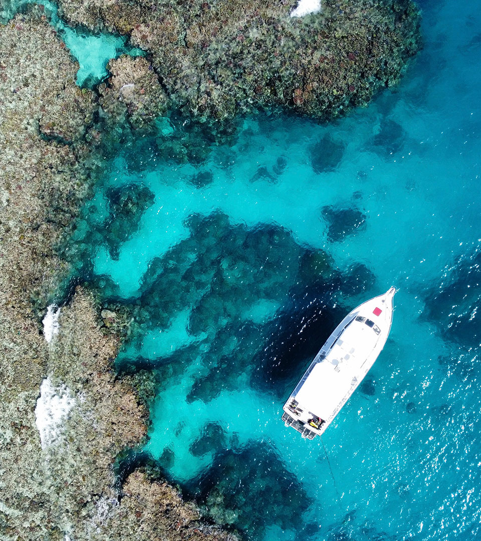 Independence also known as <b>the Dive Boat </b>for epic exploratory days on the reef.