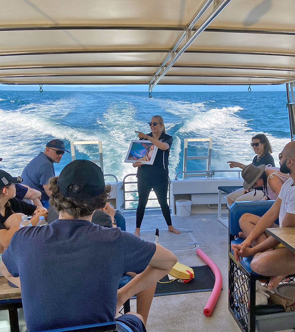 <b>Independence</b> is known as the dive boat for <b>epic Great Barrier Reef </b>experiences. 